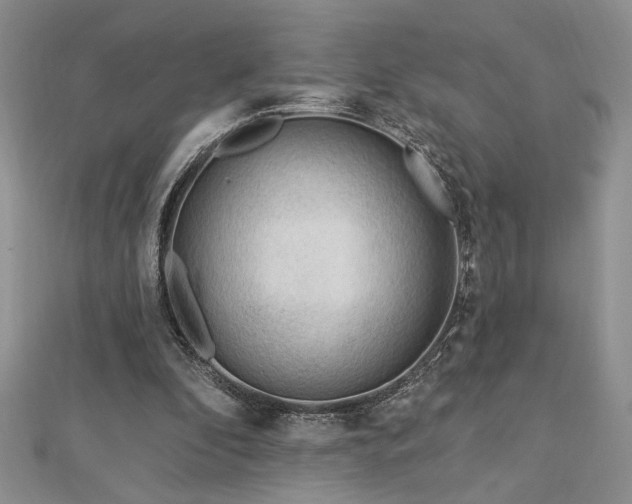X0000113130296200909041153