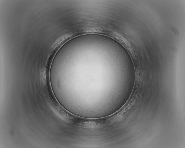 X0000113130298200909041153