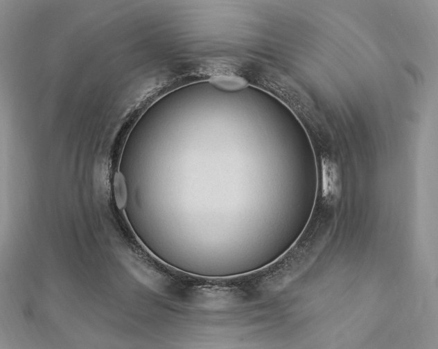 X0000113130300200909041153