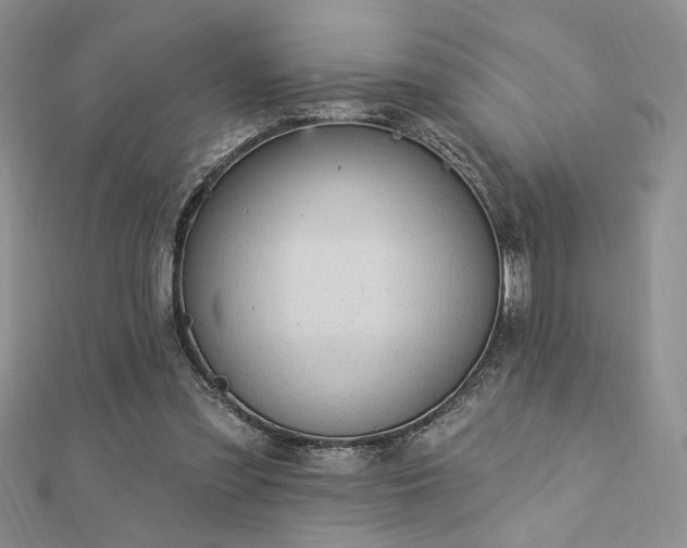 X0000113130301200909041153