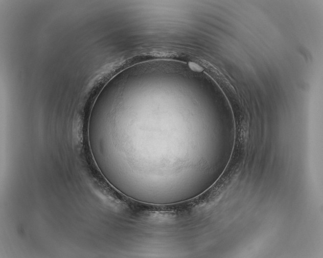 X0000113130303200909041153