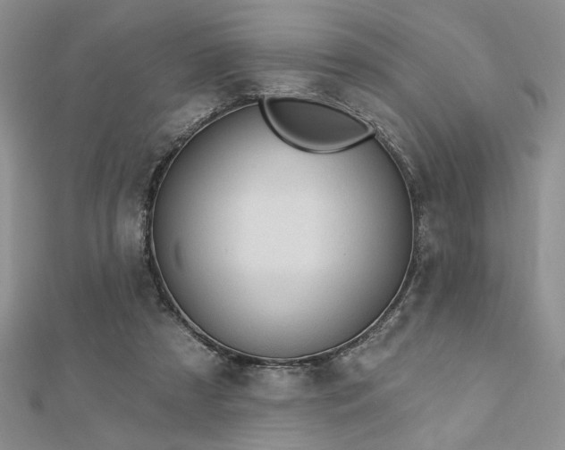 X0000113130305200909041152