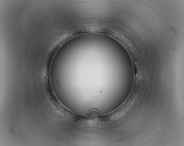 X0000113130306200909041152