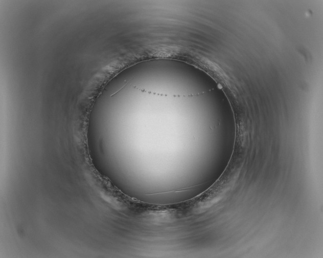 X0000113130307200909041152