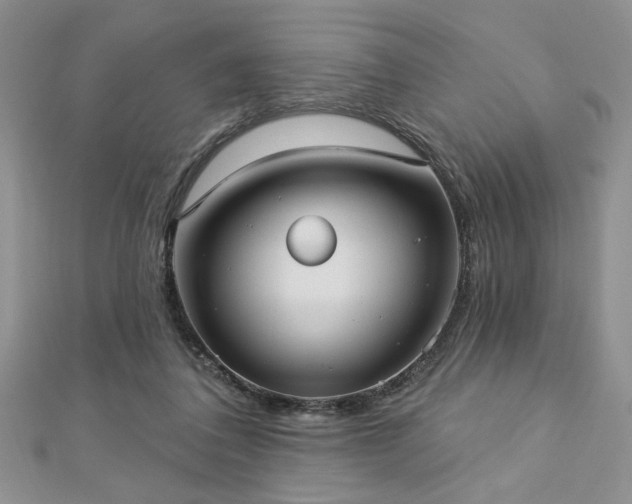 X0000113130308200909041152