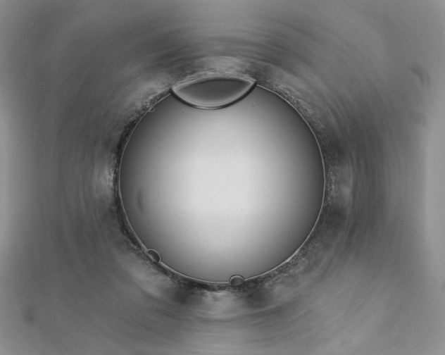 X0000113130309200909041152