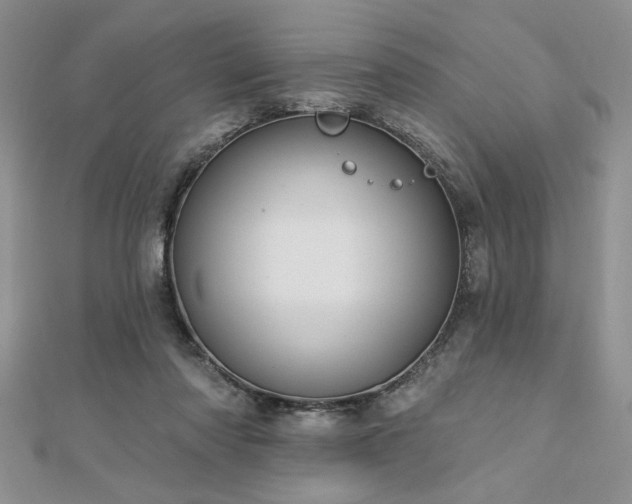 X0000113130310200909041152