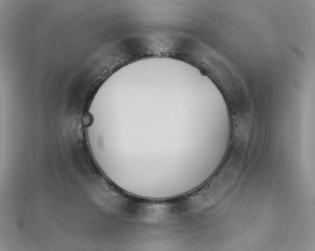 X0000113130313200909041152