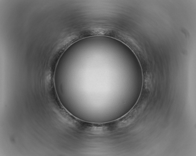 X0000113130314200909041152