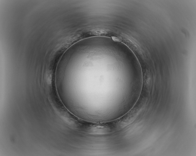 X0000113130315200909041152