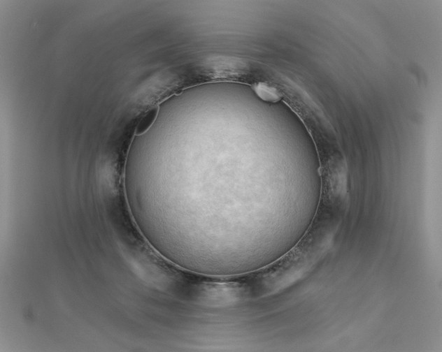 X0000113130316200909041152