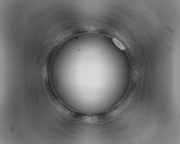 X0000113130317200909041152