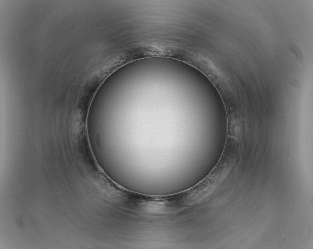 X0000113130318200909041152