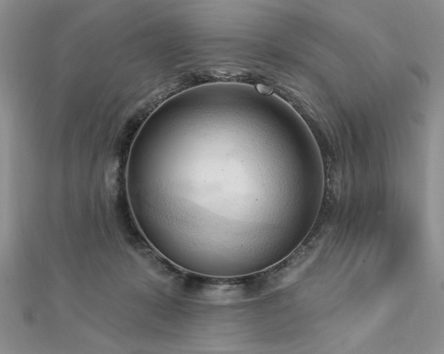 X0000113130319200909041152