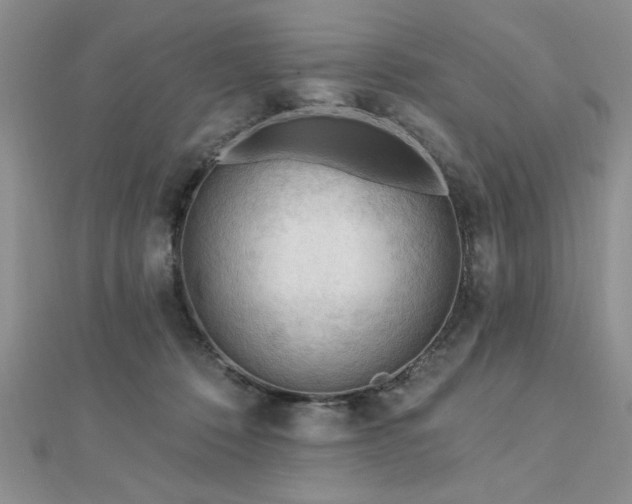 X0000113130320200909041152