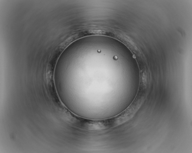 X0000113130322200909041152