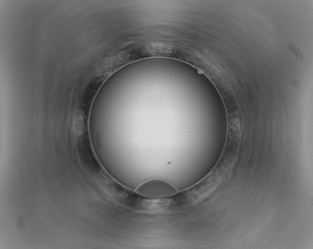 X0000113130323200909041152