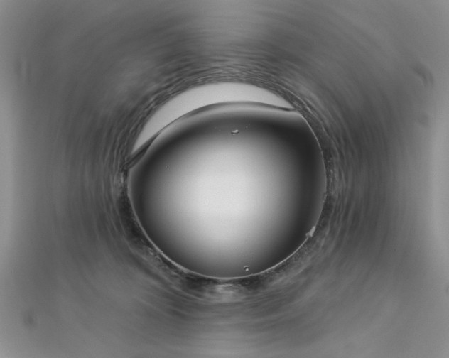 X0000113130324200909041152