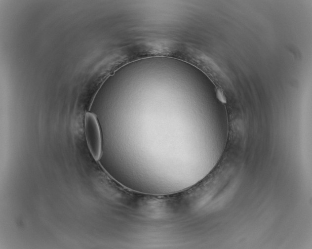 X0000113130325200909041152