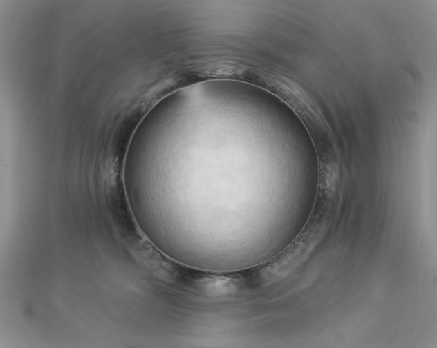 X0000113130326200909041152