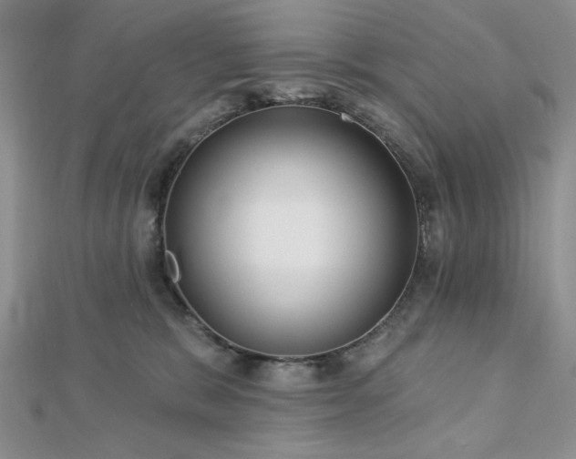 X0000113130327200909041152