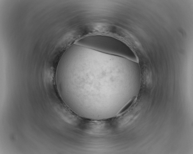 X0000113130328200909041152