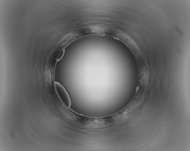 X0000113130329200909041152