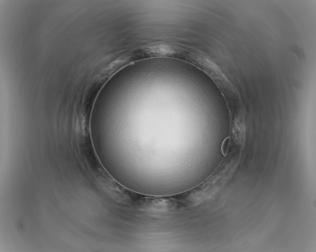 X0000113130330200909041152