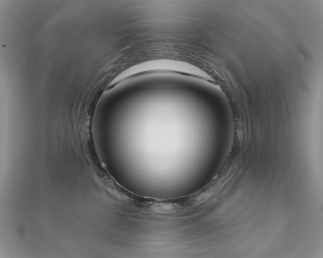 X0000113130332200909041152