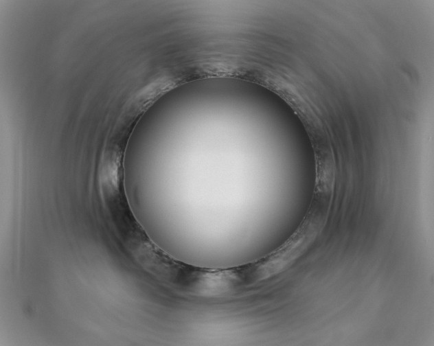 X0000113130334200909041152