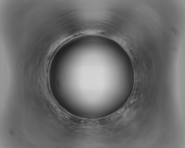 X0000113130337200909041151