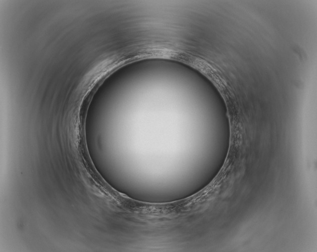 X0000113130338200909041151
