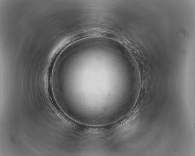 X0000113130341200909041152