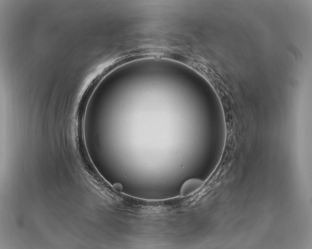 X0000113130342200909041152
