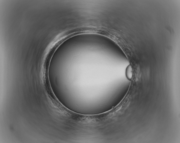 X0000113130343200909041152