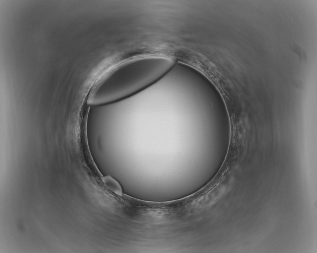 X0000113130344200909041152