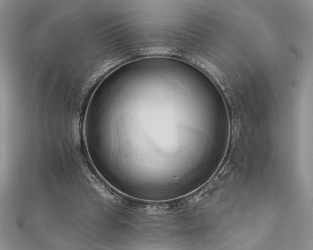 X0000113130345200909041152