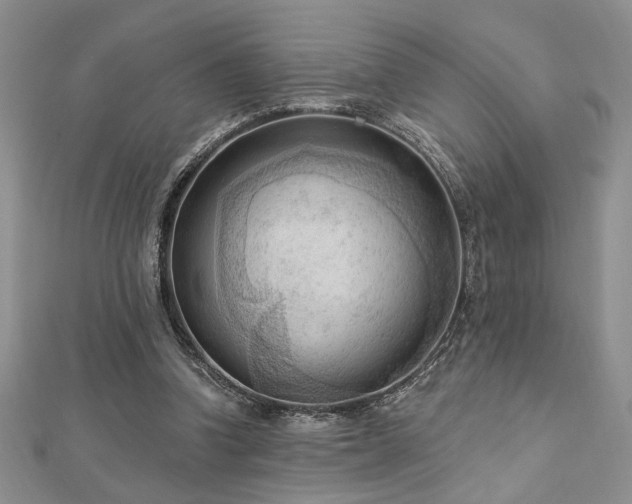 X0000113130346200909041152