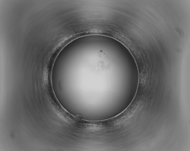 X0000113130347200909041152