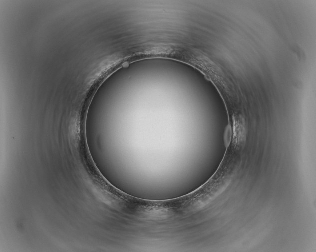 X0000113130348200909041152