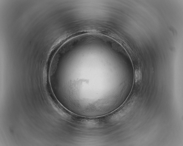 X0000113130349200909041152
