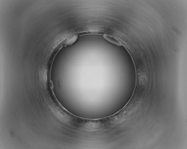 X0000113130350200909041152