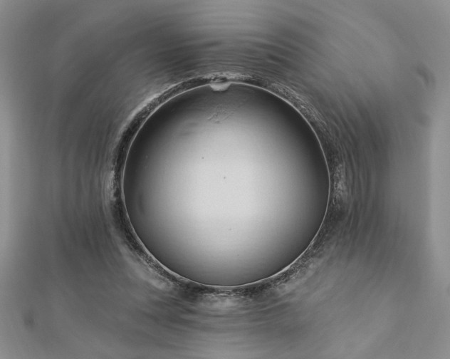 X0000113130351200909041152