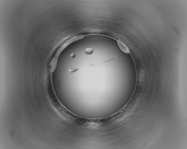 X0000113130352200909041152