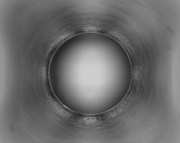 X0000113130353200909041152