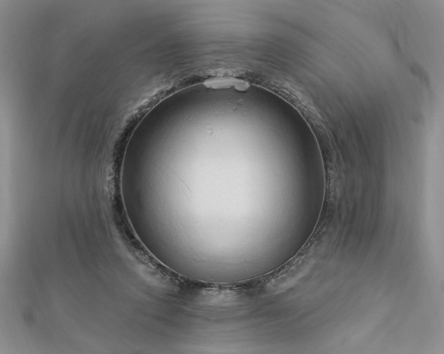 X0000113130354200909041152