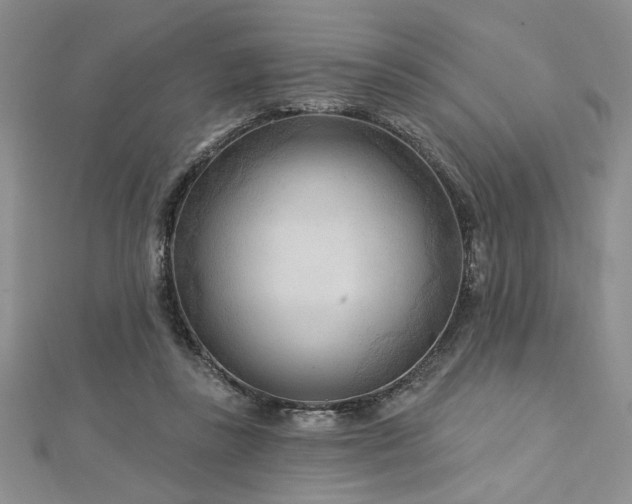 X0000113130355200909041152