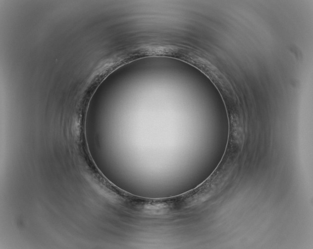 X0000113130357200909041152