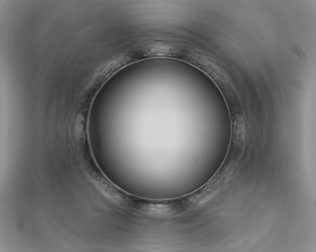 X0000113130361200909041152