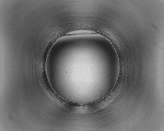 X0000113130362200909041152